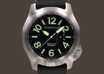 Momentum watch repair 10