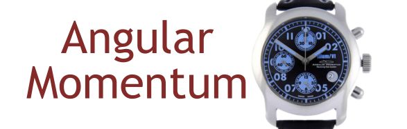 Angular Momentum Watch Repair